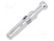 Contact; female; EPIC MC 2.5; gold-plated; 0.5mm2; crimped LAPP