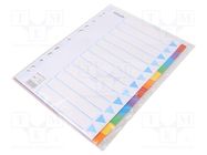 Cardboard file dividers ESSELTE