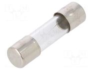Fuse: fuse; 6A; 250VAC; quick blow; glass; 5x20mm; bulk OPTIFUSE