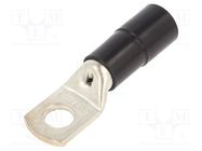 Tip: ring tube; M12; Ø: 12.5mm; 70mm2; crimped; for cable; insulated BM GROUP