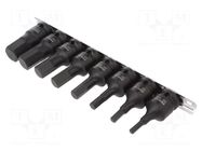 Wrench-set; 6-angles,socket spanner,impact; 8pcs. PROLINE