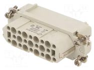 Connector: HDC; contact insert; female; EPIC H-D; PIN: 25; 10A; 250V LAPP