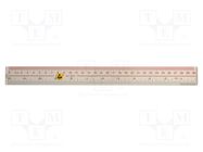 Ruler; ESD; 300mm; ABS; <0.1MΩ EUROSTAT GROUP