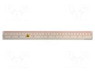 Ruler; ESD; 300mm; ABS; <0.1MΩ EUROSTAT GROUP