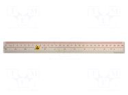 ESD; ABS; <0.1MΩ; 300mm; Office Equipment: ruler EUROSTAT GROUP