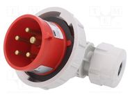 Connector: AC supply 3-phase; plug; male; 16A; 400VAC; IEC 60309 PCE