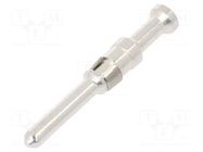 Contact; male; EPIC MC 2.5; gold-plated; 0.5mm2; turned contacts LAPP