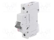 Circuit breaker; 230/400VAC; Inom: 63A; Poles: 1; Charact: B; 10kA ETI POLAM