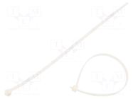 Cable tie; L: 200mm; W: 3.6mm; white; polyamide; 180N; Ømax: 52.5mm BM GROUP