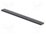 Socket; pin strips; female; PIN: 36; straight; 2.54mm; THT; 1x36 FISCHER ELEKTRONIK