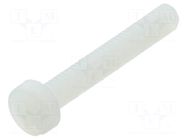 Screw; M4x25; 0.7; Head: cheese head; slotted; 1.3mm; polyamide DREMEC