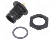 Connector: circular; socket; for panel mounting,front side nut AMPHENOL LTW