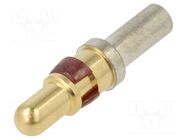 connector 8638PPC2005LF AMPHENOL COMMUNICATIONS SOLUTIONS