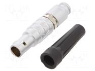 connector Connector: ; socket AMPHENOL LTW