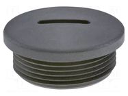 Stopper; PG29; IP54; polyamide; black; V-N-FS; Thread: PG; 8mm HUMMEL