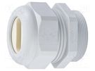 Cable gland; for flat cable; M25; 1.5; IP65; polyamide; grey HUMMEL