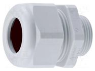 Cable gland; PG13,5; IP54; polyamide; grey; HSK-KE HUMMEL