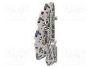 Splice terminal: rail; 2.5mm2; ways: 3; terminals: 5; grey; 2003 WAGO