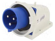 Connector: AC supply; socket; male; 32A; 230VAC; IEC 60309; IP67 PCE
