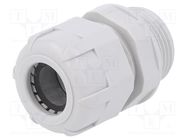 Cable gland; PG16; IP68; polyamide; light grey; UL94V-2 BM GROUP