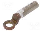 Tip: ring; M12; 16mm2; crimped; for cable; straight; non-insulated BM GROUP
