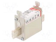 Fuse: fuse; 80A; 690VAC; 440VDC; gS; ceramic; NH000 DF ELECTRIC