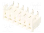 PIN: 6; female; 3.96mm MOLEX