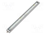 LED lamp; cool white; 2600lm; 6500K; -40÷60°C; 24VDC; IP66; PIN: 4 PATLITE