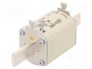 Fuse: fuse; 250A; 500VAC; gG; ceramic,industrial; NH1; WT-NH ETI POLAM