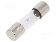 Fuse: fuse; 3.15A; 250VAC; time-lag; glass; 5x20mm; brass; bulk OPTIFUSE