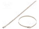 Cable tie; L: 520mm; W: 4.6mm; stainless steel AISI 304; 445N RAYCHEM RPG
