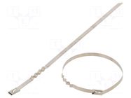Cable tie; L: 1000mm; W: 4.6mm; acid resistant steel AISI 316 RAYCHEM RPG
