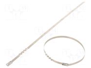 Cable tie; L: 260mm; W: 4.6mm; acid resistant steel AISI 316; 445N RAYCHEM RPG