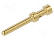 Contact; male; EPIC H-BE 2.5; gold-plated; 1.5mm2; crimped LAPP