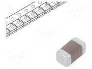 Capacitor: ceramic; MLCC; 22pF; 50V; C0G (NP0); ±5%; SMD; 0402; 178mm TDK