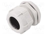 Cable gland; PG36; IP68; polyamide; light grey BM GROUP