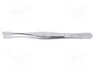 Tweezers; 145mm; universal; Type of tweezers: straight BERNSTEIN