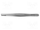 Tweezers; 145mm; Blade tip shape: rounded; universal BERNSTEIN