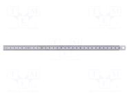 Ruler; L: 0.3m; Width: 13mm BERNSTEIN