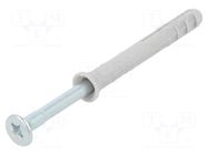 Plastic anchor; with screw; 5x40; zinc-plated steel; N; 100pcs. FISCHER