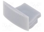 Cap for LED profiles; silver; 10pcs. GTV Poland