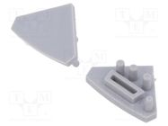 Cap for LED profiles; silver; 10pcs. GTV Poland