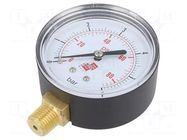 Manometer; 0÷6bar; non-aggressive liquids,inert gases; 63mm PNEUMAT