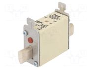 Fuse: fuse; 80A; 690VAC; gG; industrial; NH000 HAGER