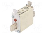 Fuse: fuse; 20A; 500VAC; gG; industrial; NH000 HAGER