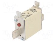 Fuse: fuse; 63A; 500VAC; gG; industrial; NH000 HAGER
