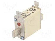 Fuse: fuse; 80A; 500VAC; gG; industrial; NH000 HAGER