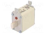 Fuse: fuse; 125A; 500VAC; gG; industrial; NH00 HAGER