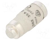 Fuse: fuse; 35A; 400VAC; 250VDC; gG,time-lag; D02 HAGER
