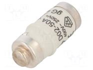 Fuse: fuse; 50A; 400VAC; 250VDC; gG,time-lag; D02 HAGER